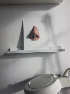 brown nose artwork on white wooden shelf by Trude Jonsson Stangel courtesy of Unsplash.