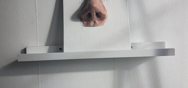 brown nose artwork on white wooden shelf by Trude Jonsson Stangel courtesy of Unsplash.